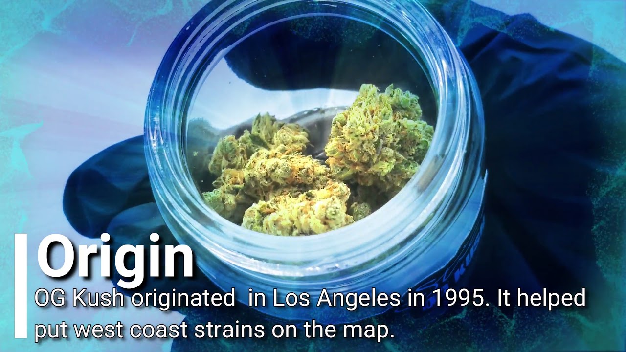 Og kush strain review