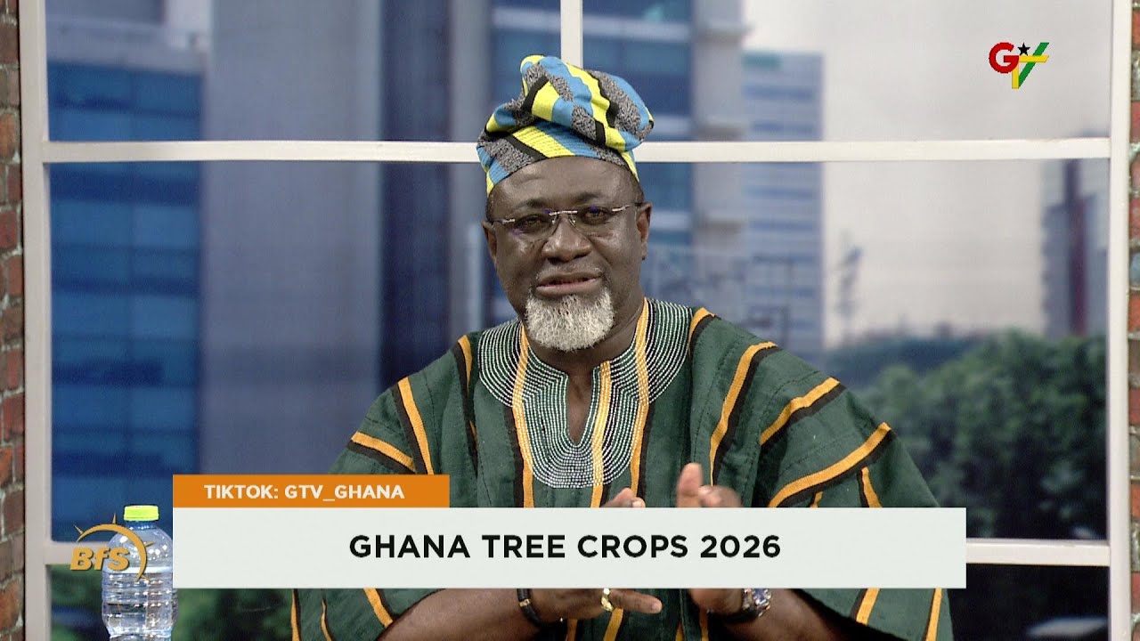 Ghana Tree Crops 2026 || 6th February 2026
