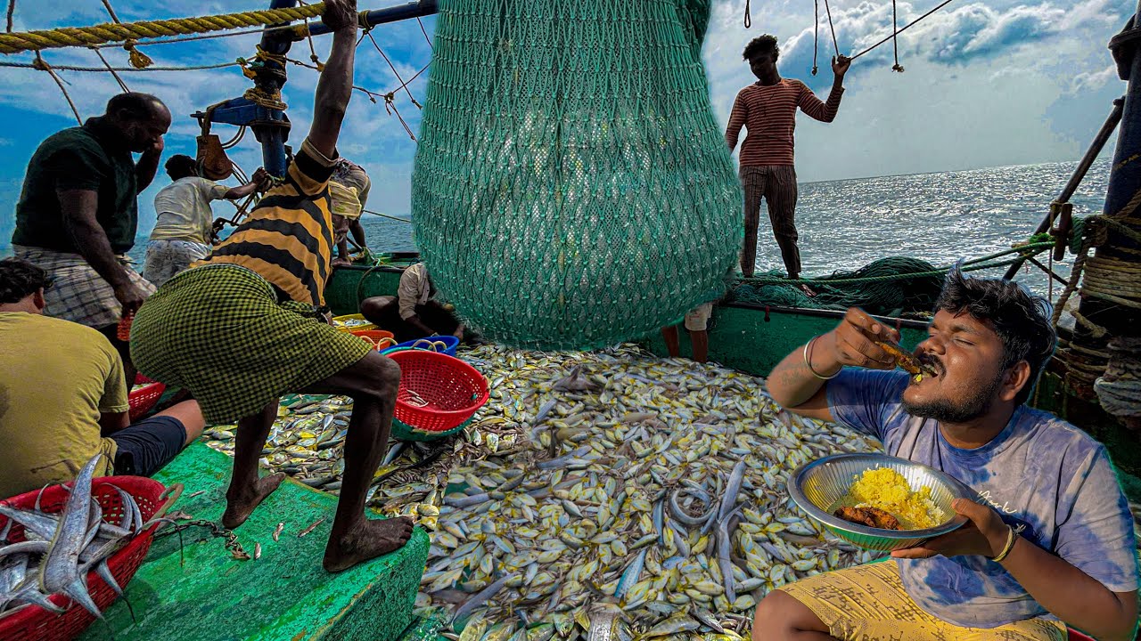 Plenty of Small Yellow Travelly Fish Caught 🎣🐟