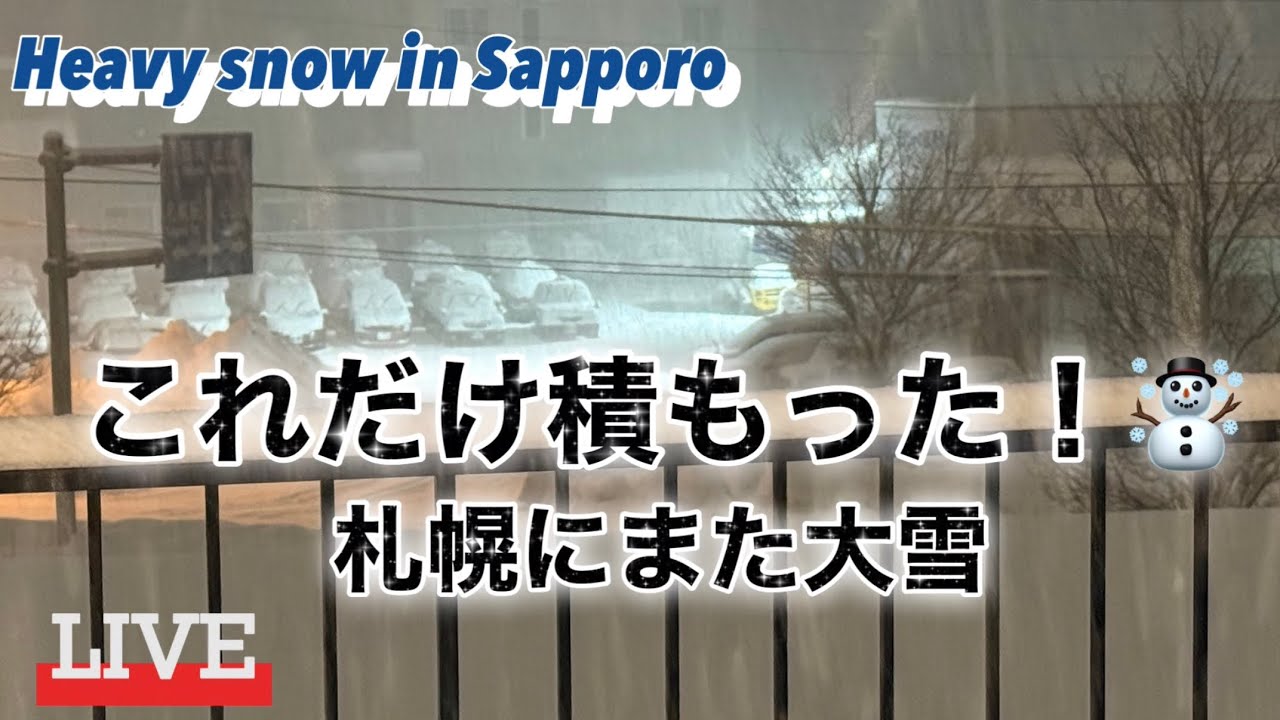 【Live配信】札幌の大雪！深夜からどれ位積もるか…(お返事できません🙇‍♀️)