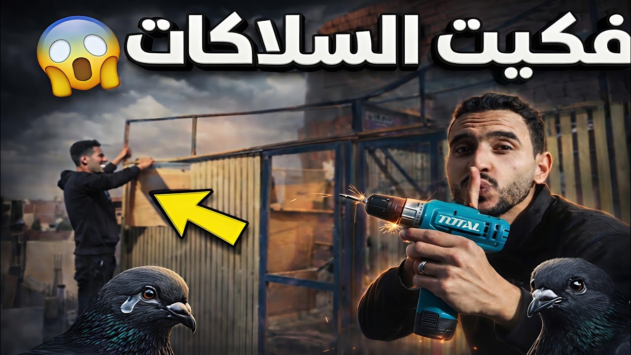 فكيت لوفت الزاجل و سلاكات الحمام الجديدة😱  طلع عيني!