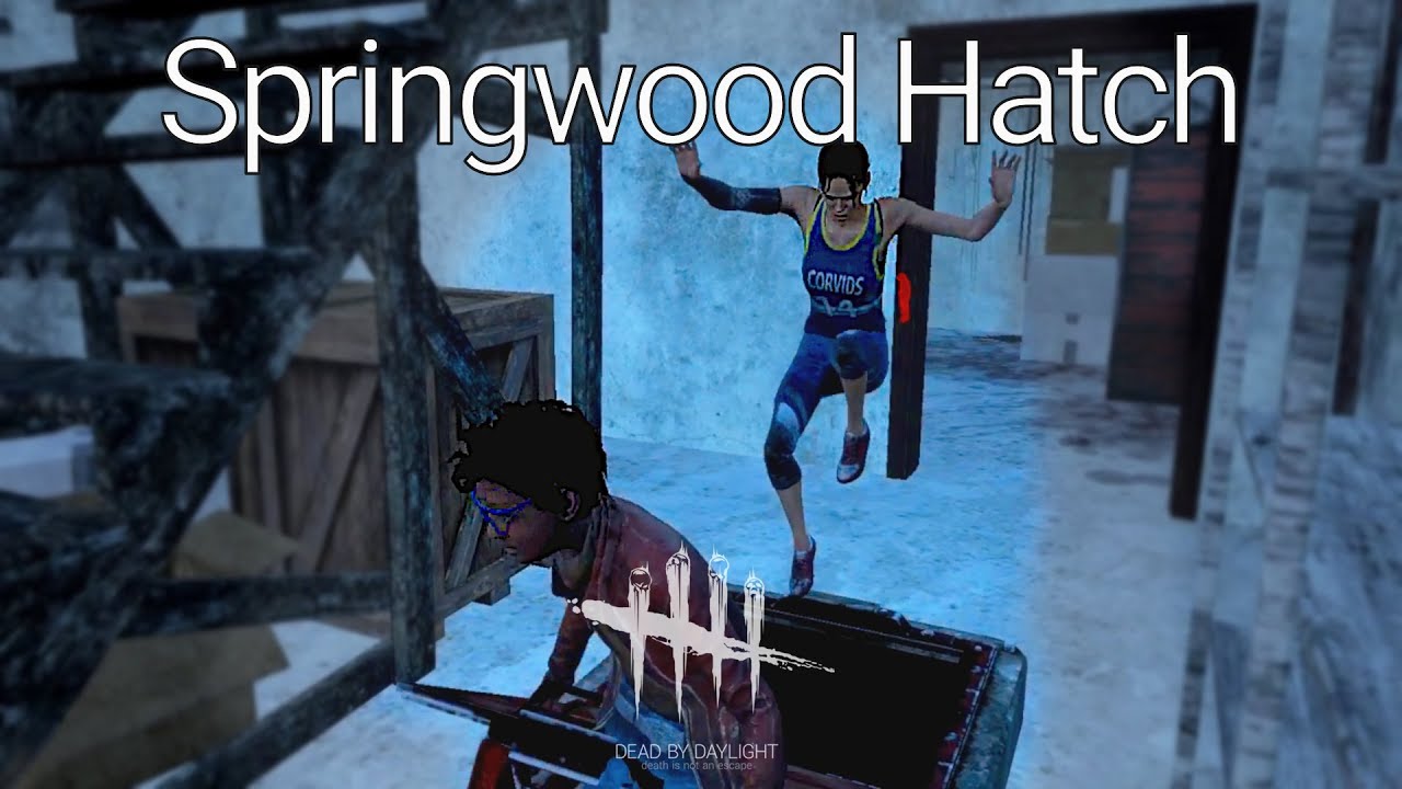 Springwood Hatch | Dead By Daylight Coop (Doctor)