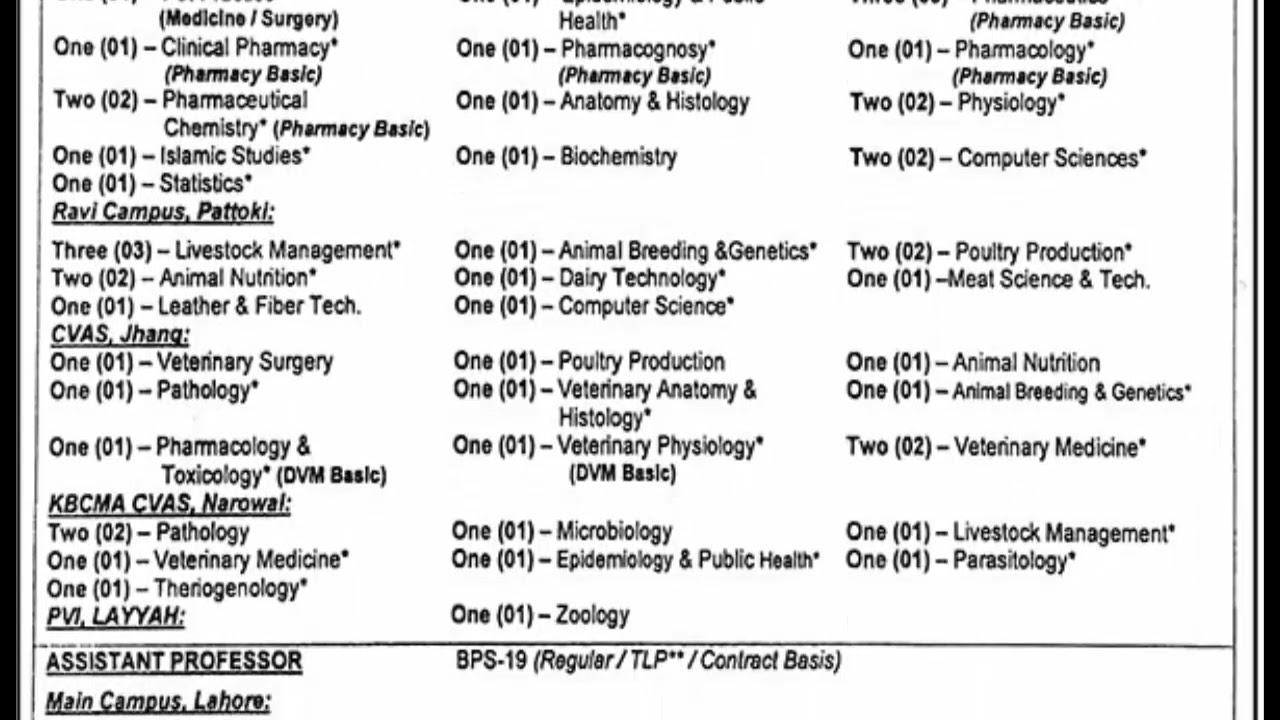 University of Veterinary and Animal Sciences Lahore Jobs 2026