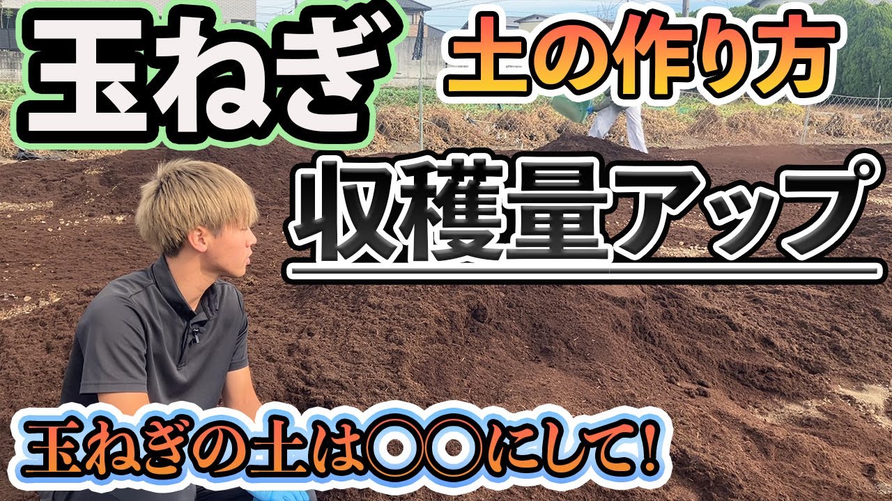 【玉ねぎ】土づくり。収穫量アップする作り方。120坪玉ねぎ作ります！
