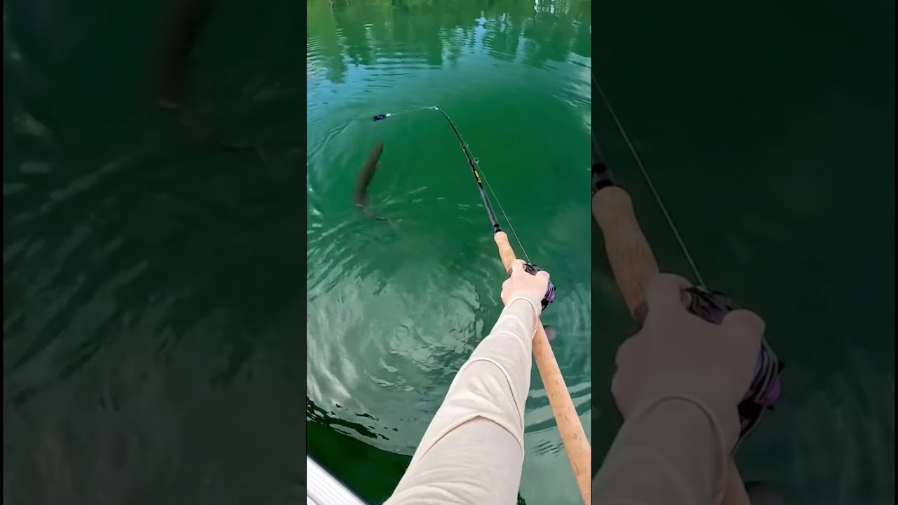 Big Catch on the Line
