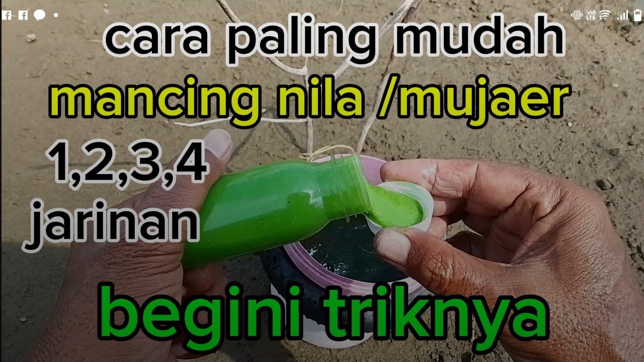 Mancing nila/mujaer 234 jarinan. Sangat mudah. Begini trik dan cara nya