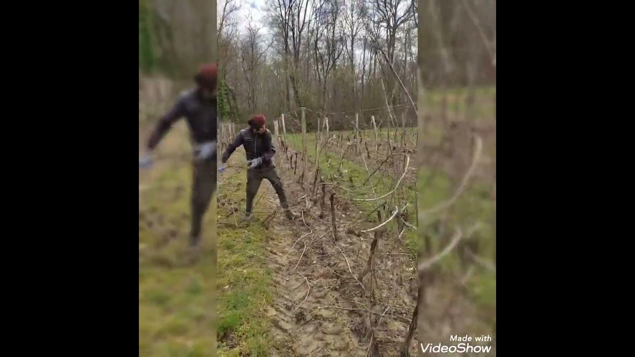 Titleالعمل في فرنسا