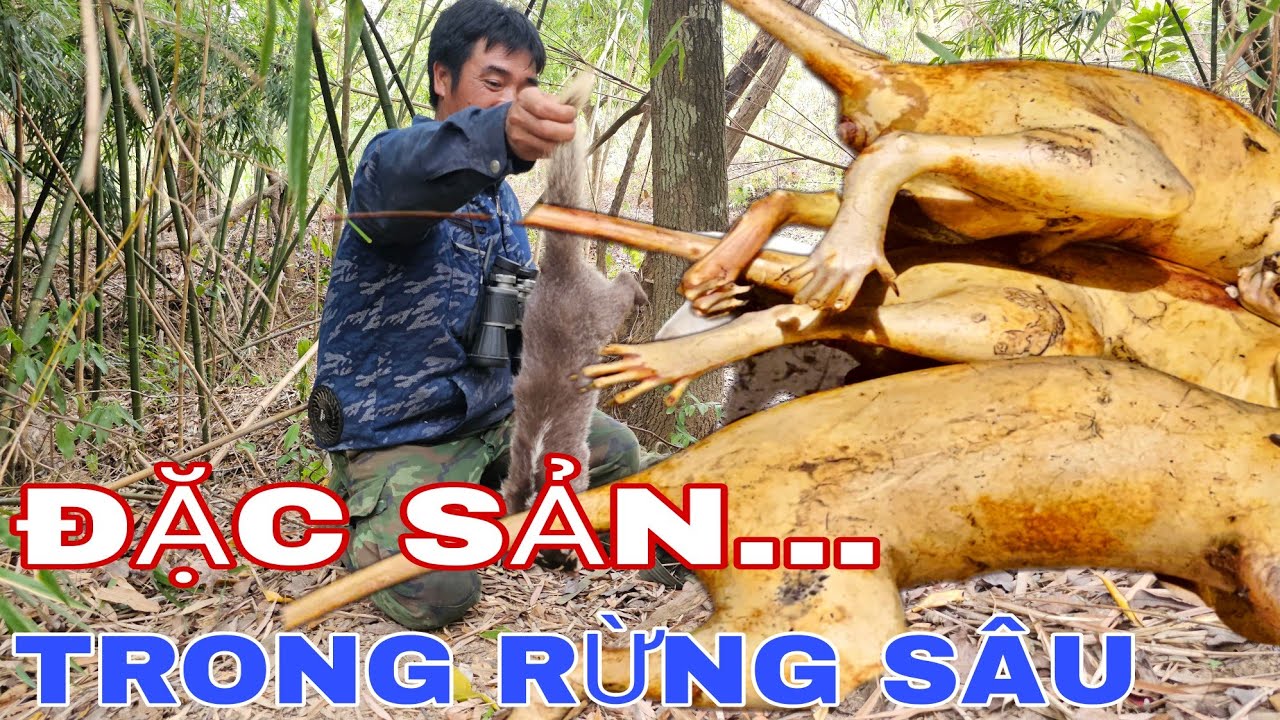 ĐI TÌM MẬT ONG RỪNG, SĂN CON ĐẶC SẢN LÀM THỨC ĂN NƠI RỪNG SÂU !