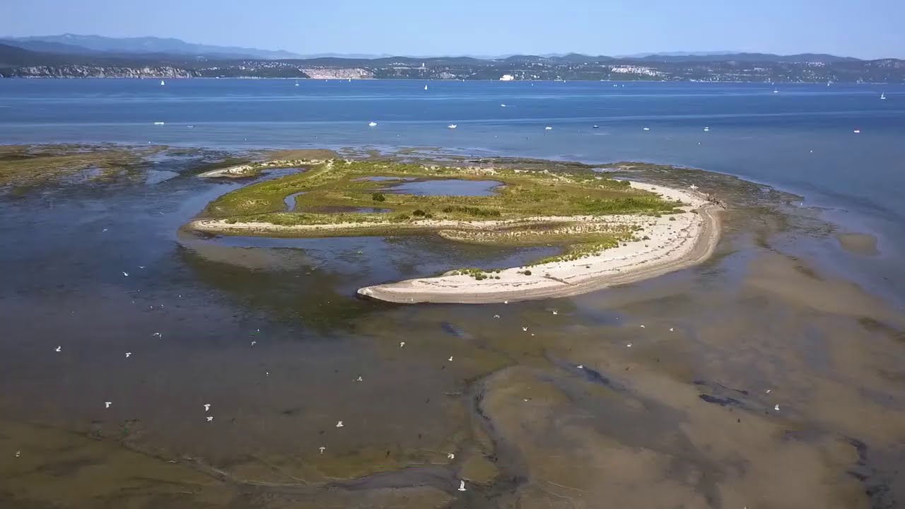 11 Riserva Naturale Foce dell'Isonzo