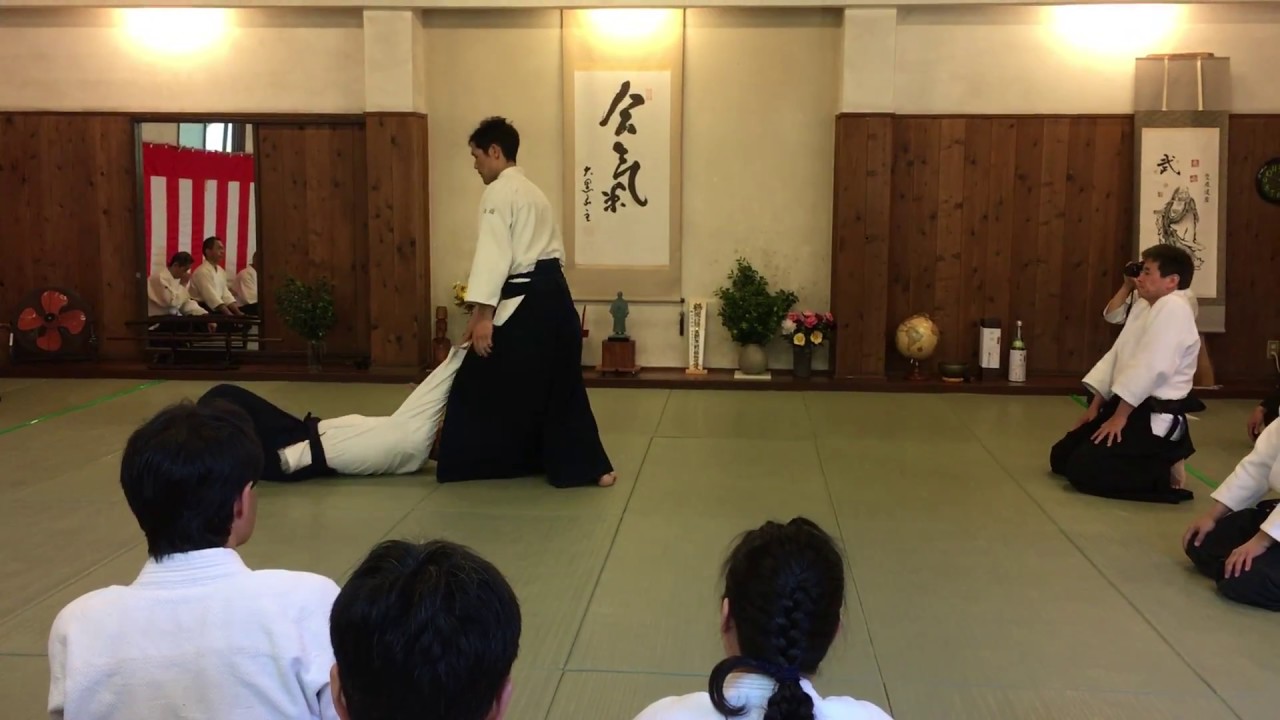 Daiyu Takeda (武田 大雄 6段) Aikido Demonstration