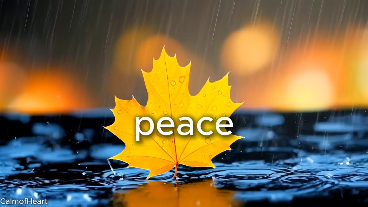 Soft Guitar Meditation Music  Relax Mind & Body