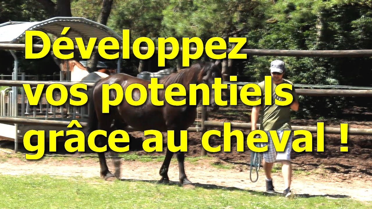 Horse coaching - Horse coaching formation