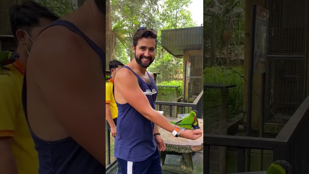 Our experience visiting Malaysia as a gay couple  #lgbtcommunity #travel #bucketlist #lgbtiq