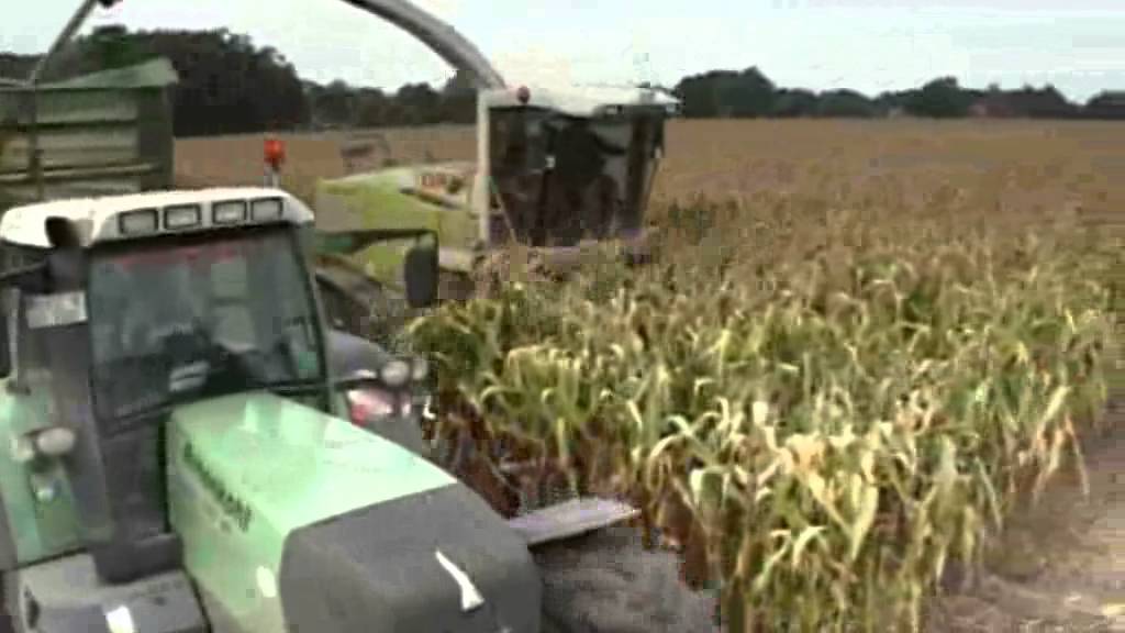 BERGMANN HTW silagewagen hakseltransportwagen 2012