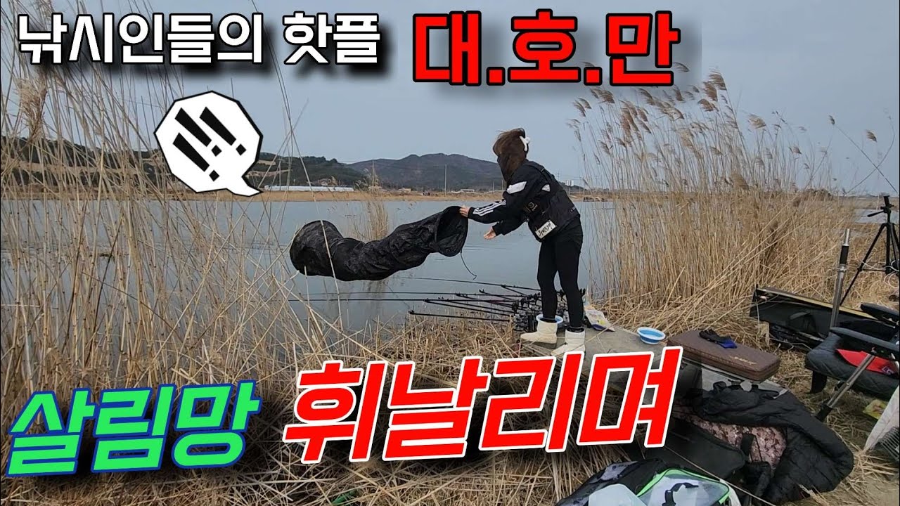 💥💥대호만 복수혈전💥💥 낚시포인트까지, 개척하다!!!! #fishing#대호만#충남서산#붕어낚시#라프자립텐트