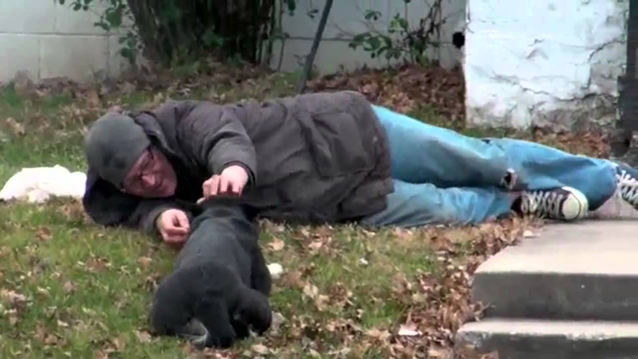 Travels With Casey & Dog Rescuer Randy Grim