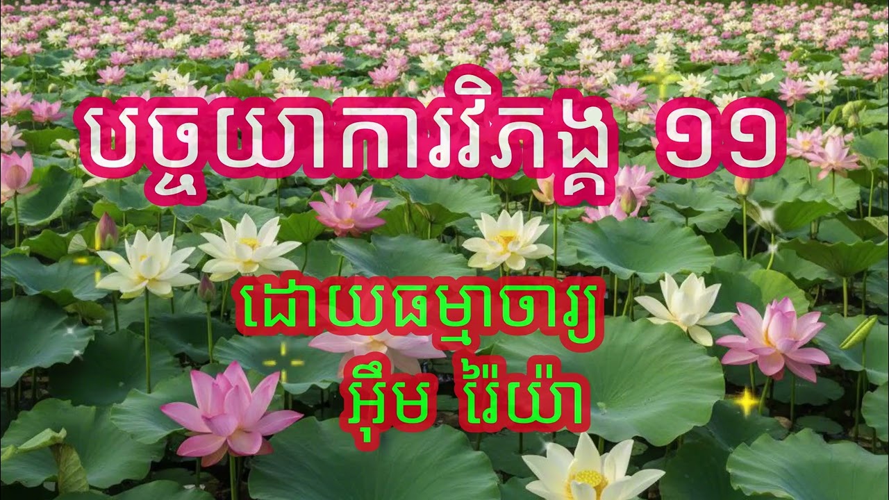 បច្ចយាការវិភង្គ ១១ ឬបដិច្ចសមុប្បាទធម៌ សម្តែងដោយ ធម្មាចារ្យ អ៊ឹម រ៉ៃយ៉ា​ #ធម៌ទេសនា #ធម៌អប់រំជីវិត