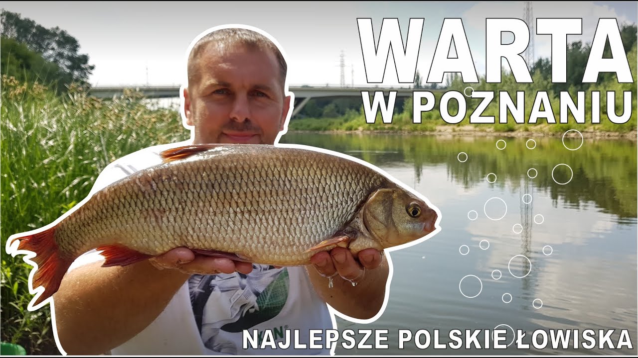 Najlepsze Polskie Łowiska - Warta w Poznaniu
