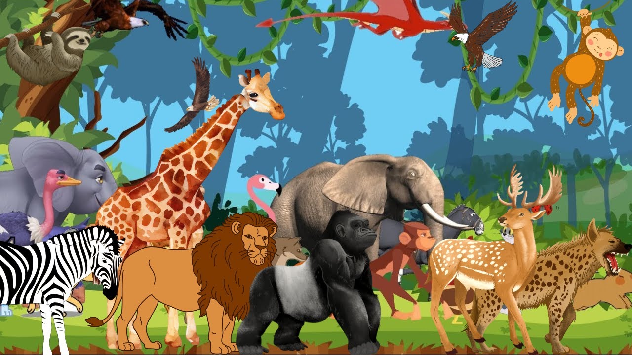 Safari Animals ABC Song | Nursery Rhyme for Toddlers | Kids Smart Learning 19TH625