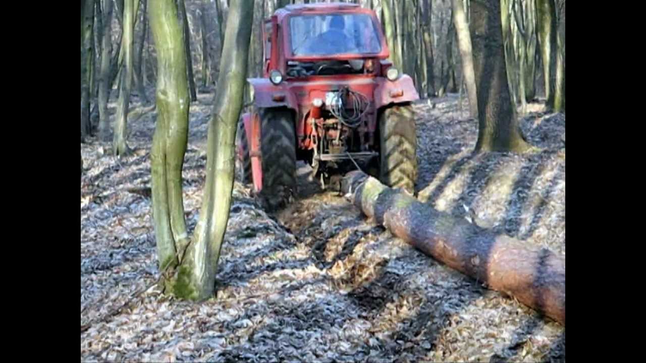 sciaganie sosne czyli budowa domu odcinek 3 MTZ 82 t-25 władymirec