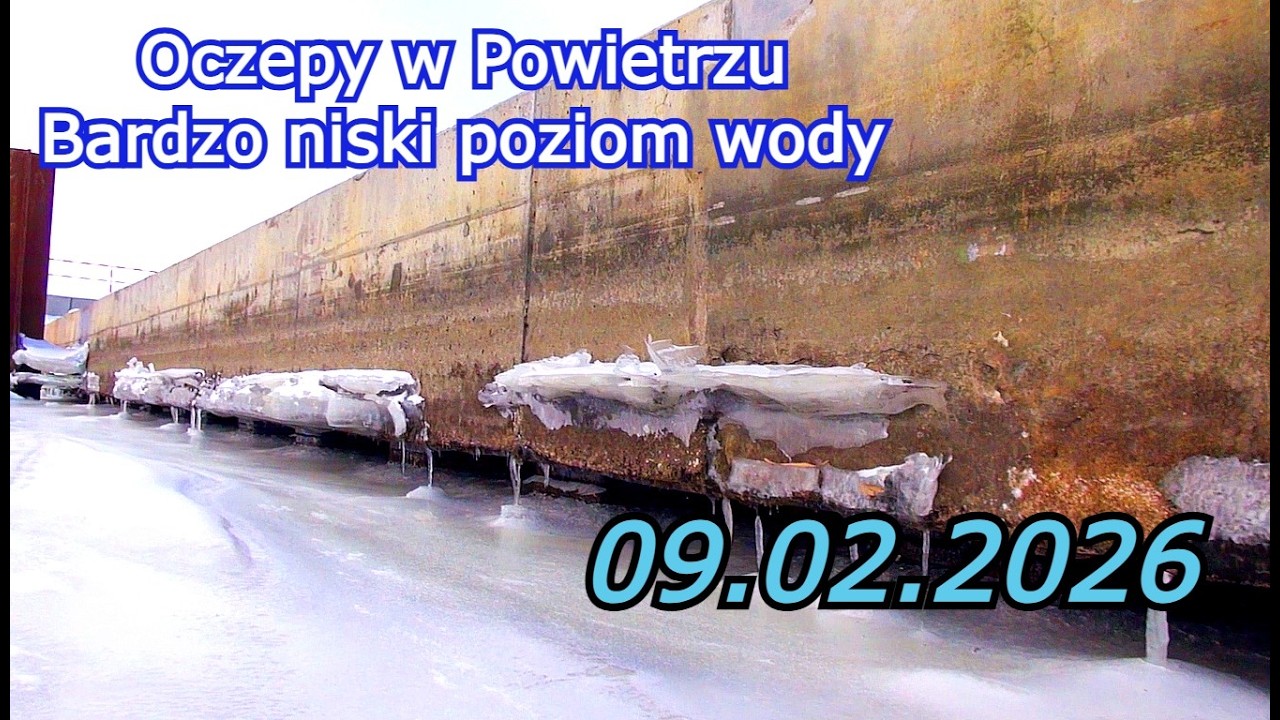 Ujście rzeki Elbląg Relacja -09.02.2026 Nowakowo Nowe Batorowo