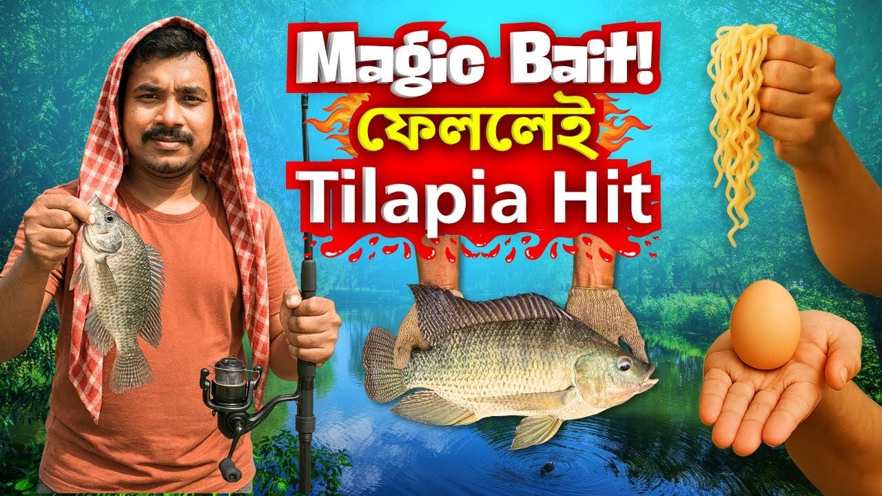 🔥 তেলাপিয়া মাছ শিকারের নতুন কৌশল । ১০০% কার্যকরি টোপ । 🎣 Tested Magic Bait for Big Tilapia