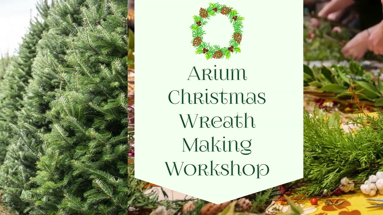 Making Christmas Magical at the Arium 2025