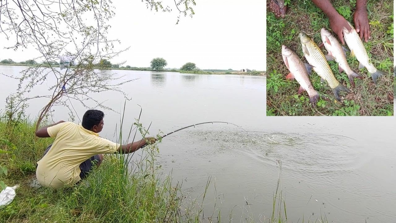 Fishing with Bait {Rice Brawn}|| Rohu fishing || Grass carp fishing || villagefishing | Hook fishing
