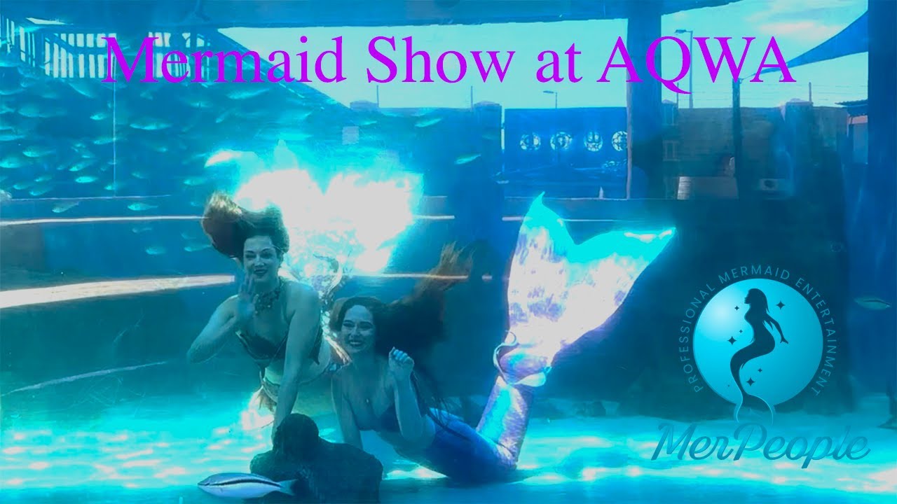 Underwater Mermaid Show at AQWA Perth - MerPeople Australia
