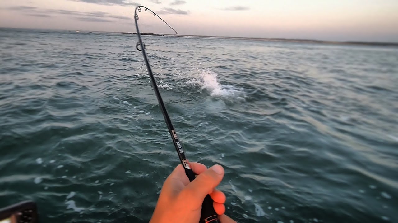 7 Species Slam! (Jetty Monster, Fake Tunas, & Bottom Fish)