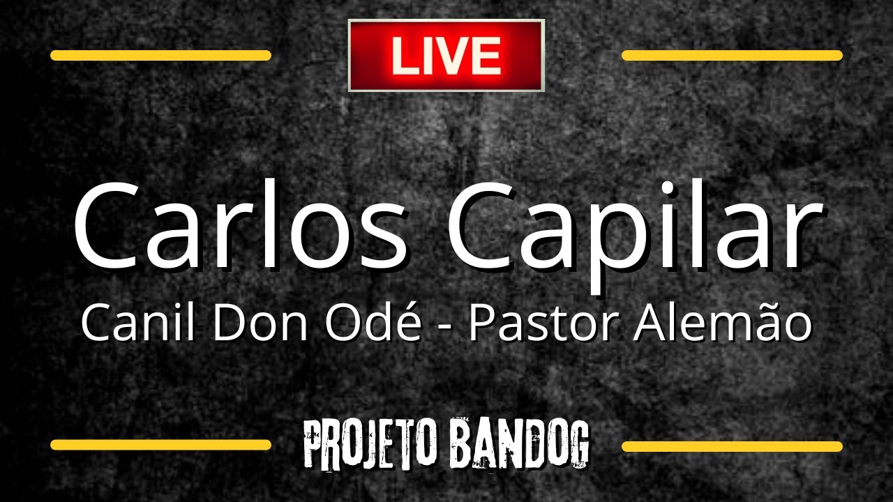 LIVE COM CARLOS CAPILAR - CANIL DON ODÉ | PROJETO BANDOG