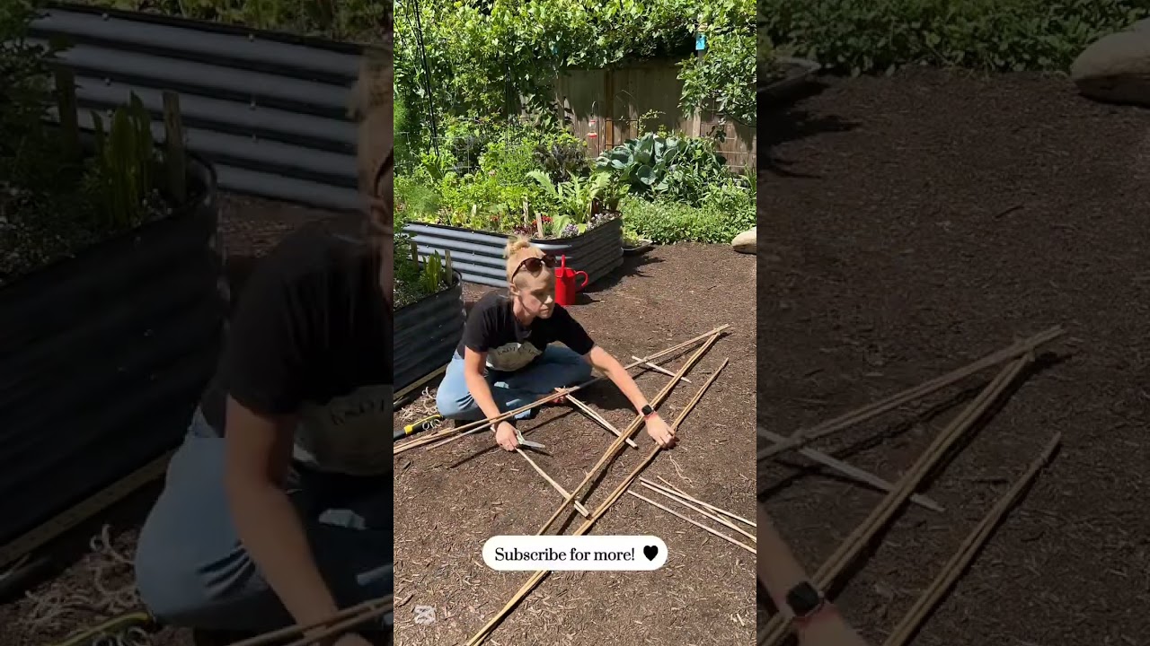 Small Space Garden Hack: DIY Bamboo Trellis!  #gardening #smallspacegarden #vegetablegarden