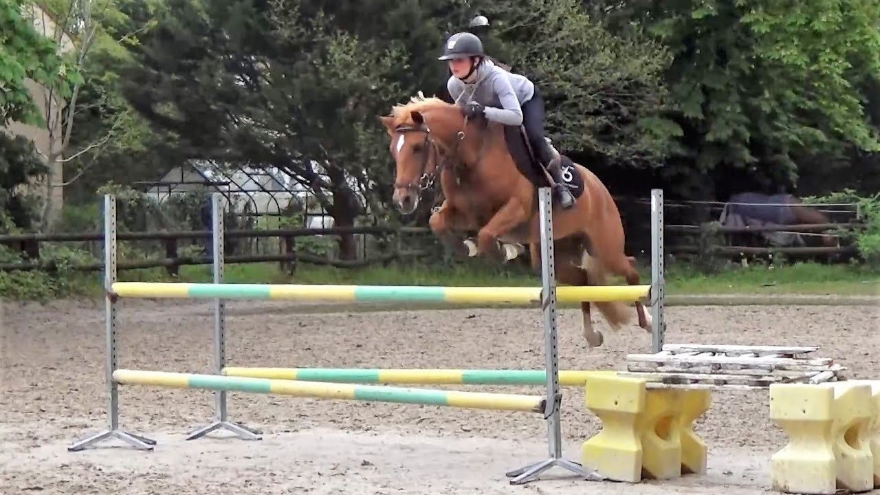 ■ 06/04/2023 - Entraînements aux écuries CBM - Douce de Grimou - CSO - Clara Maitre