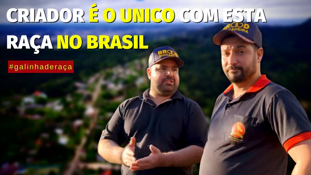 🐓 Ele CRIA uma GALINHA toda PRETA, e tem uma RARIDADE em seu PLANTEL de GALINHAS ORNAMENTAIS.