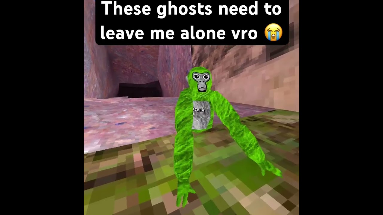 Leave me alone 🥀💔 #gorillatag #gorillatagquest #gtag #gtagghost #ghost #gtagvr