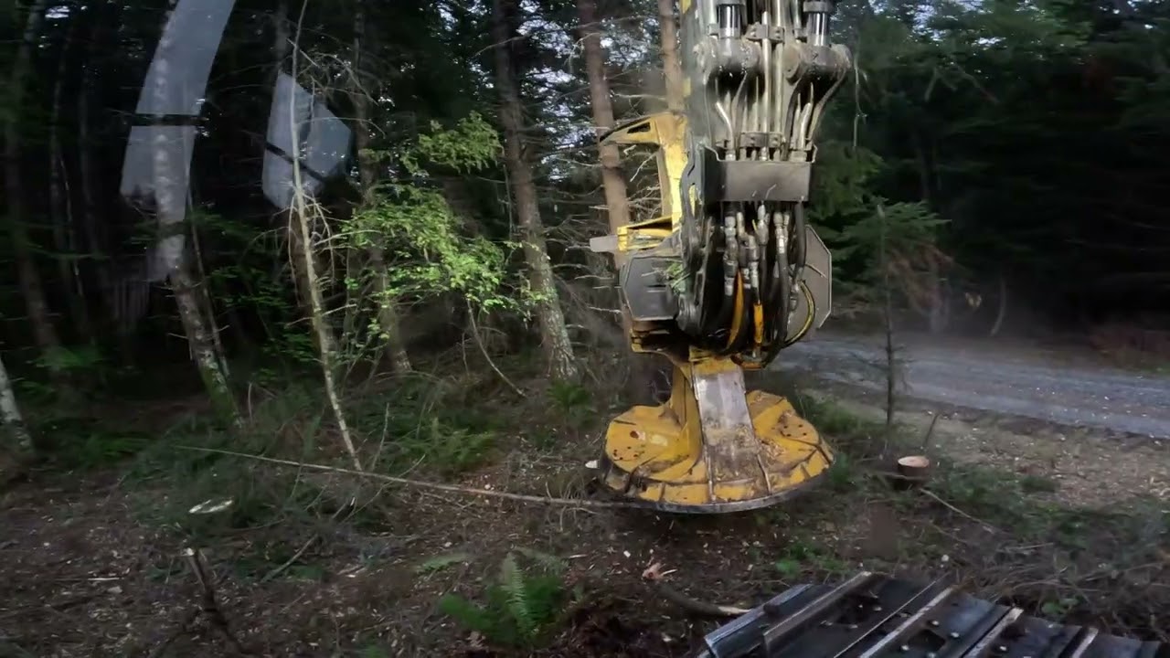 Резка с помощью Tigercat LX870D и 26-дюймовой горячей пилой!