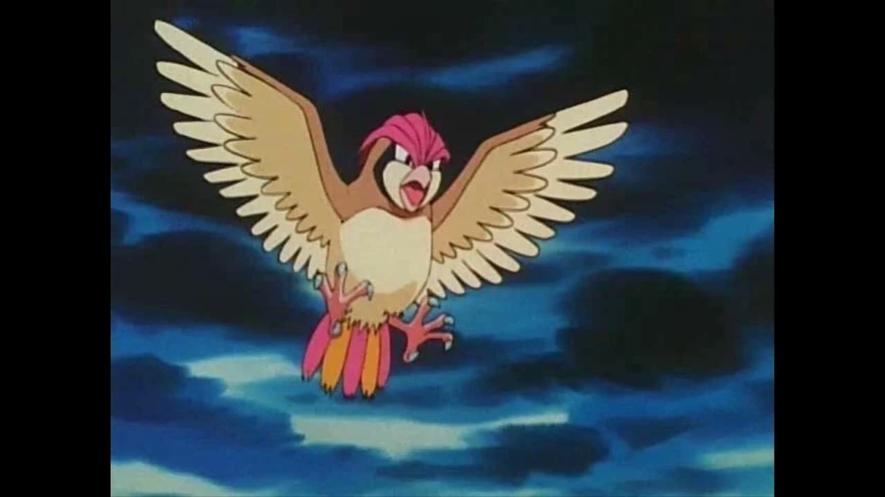School of Hard Knocks-Pokemon Discussion