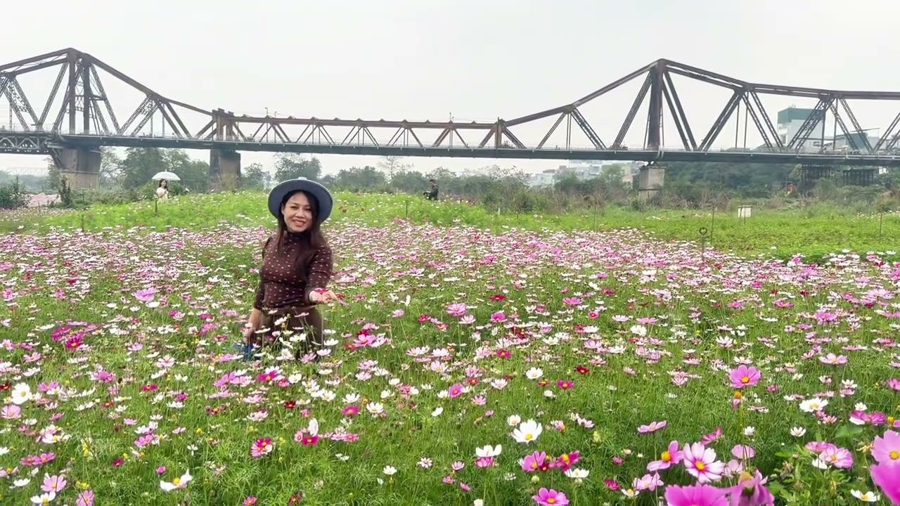 Bãi hoa Phúc Xá 🍀 