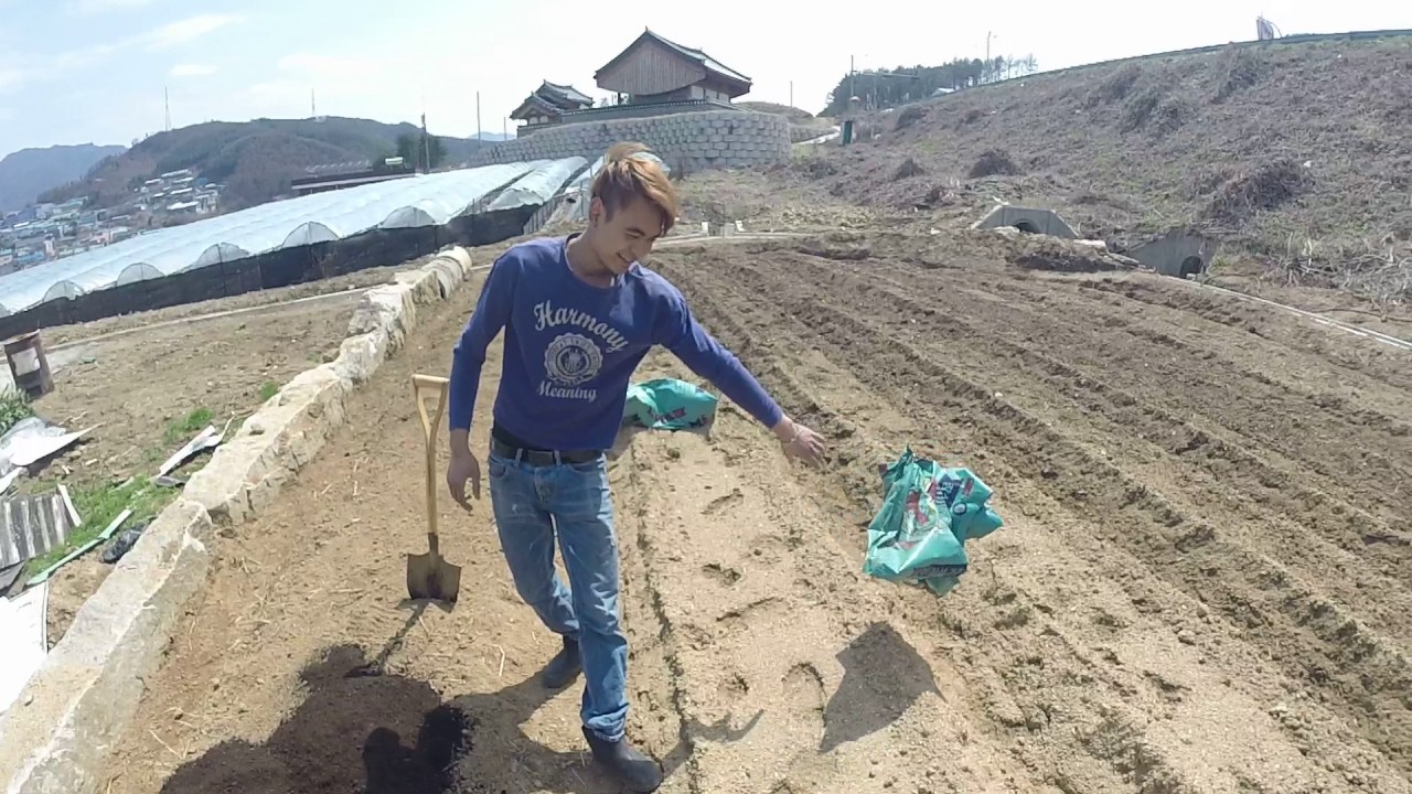Kerja di korea part 2