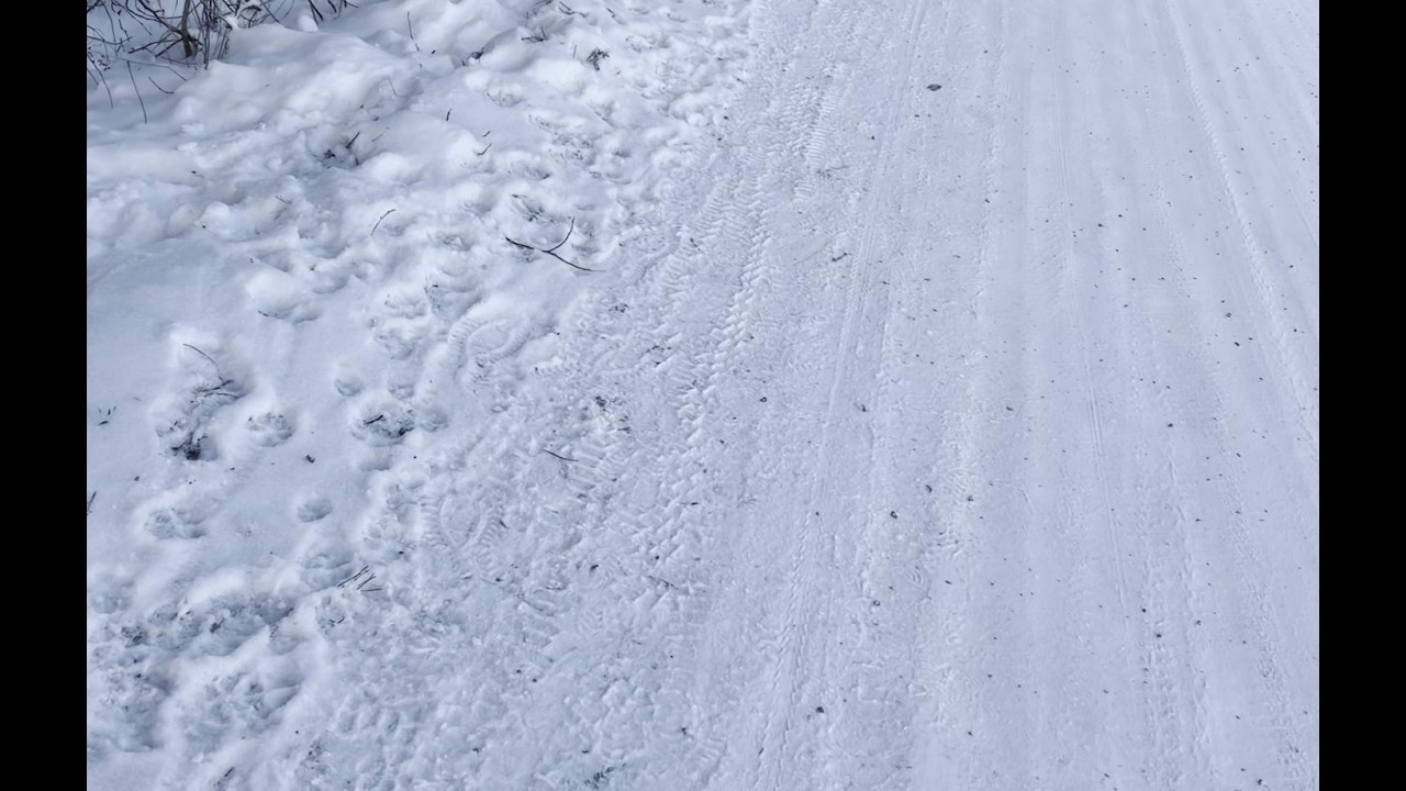Ihan pieni ulkoilu