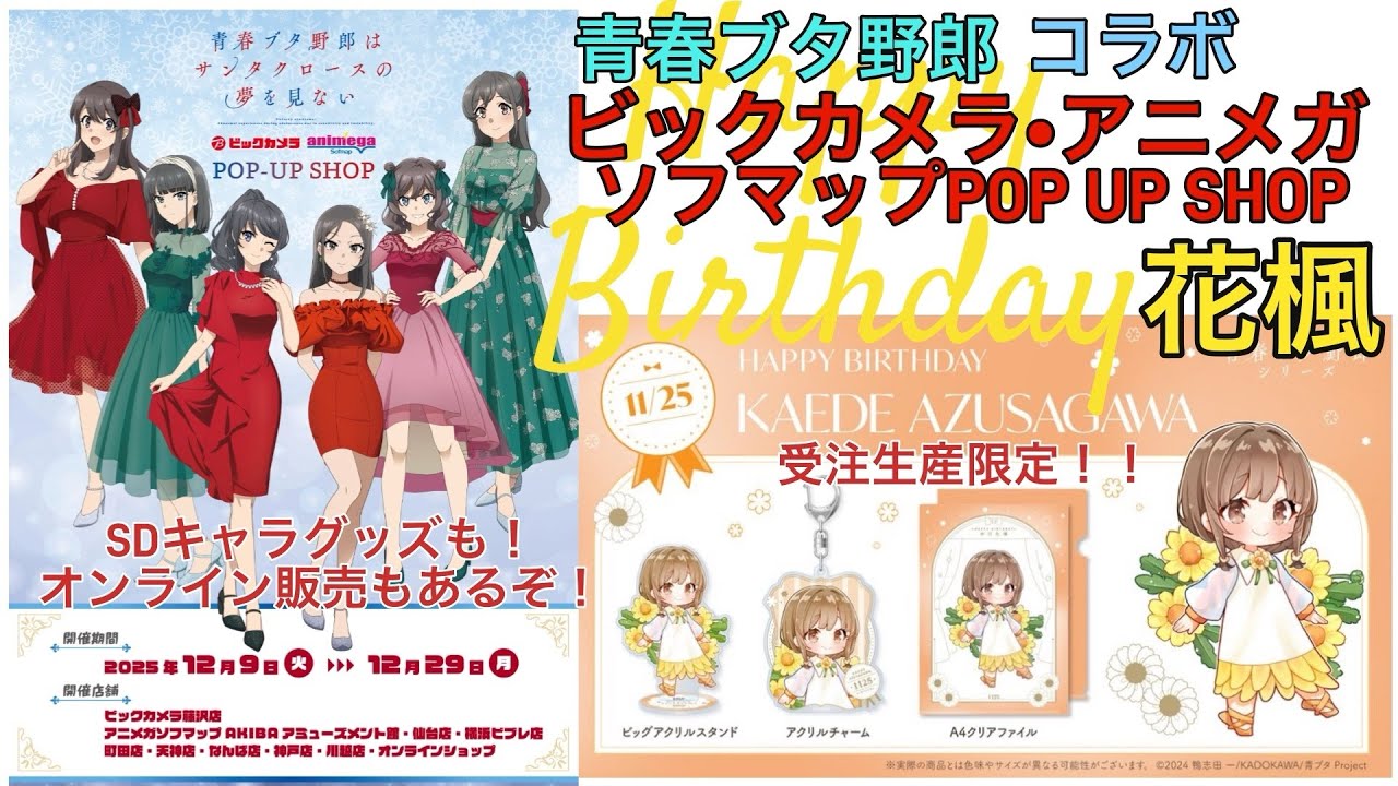 【#青ブタ】青春ブタ野郎はサンタクロースの夢を見ビックカメラ・アニメガ×ソフマップPOP-UP SHOP コラボグッズ紹介&花楓お誕生日おめでとう！受注生産限定 バースデーグッズセット紹介！！