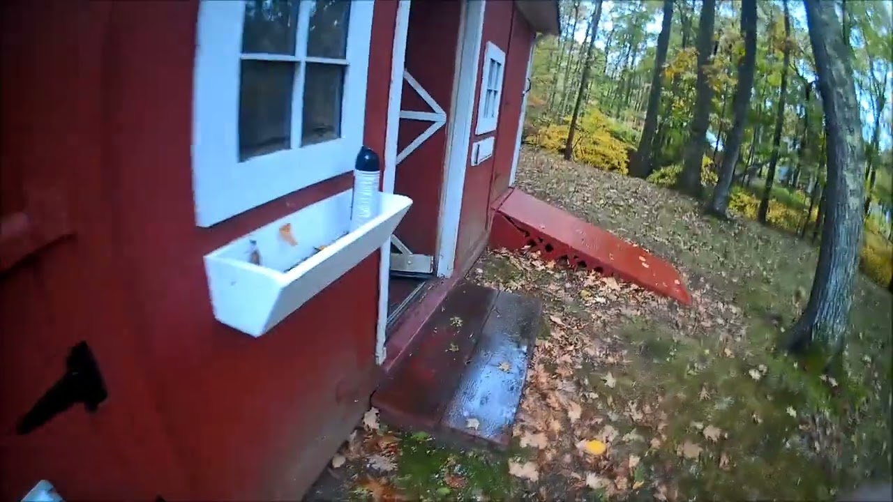 What Is Going On Here Folks?