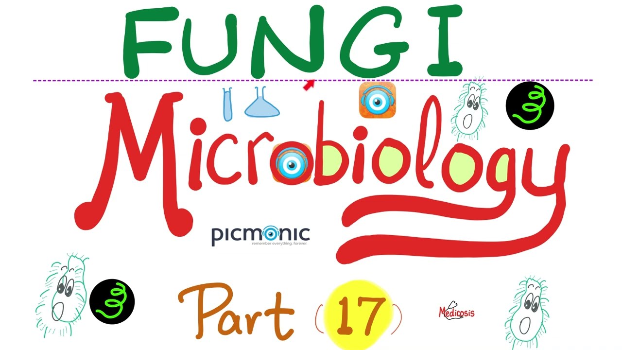 Picmonic Microbiology - Fungi - Candida, Aspergillus, Cryptococcus neoformans (Part 17)