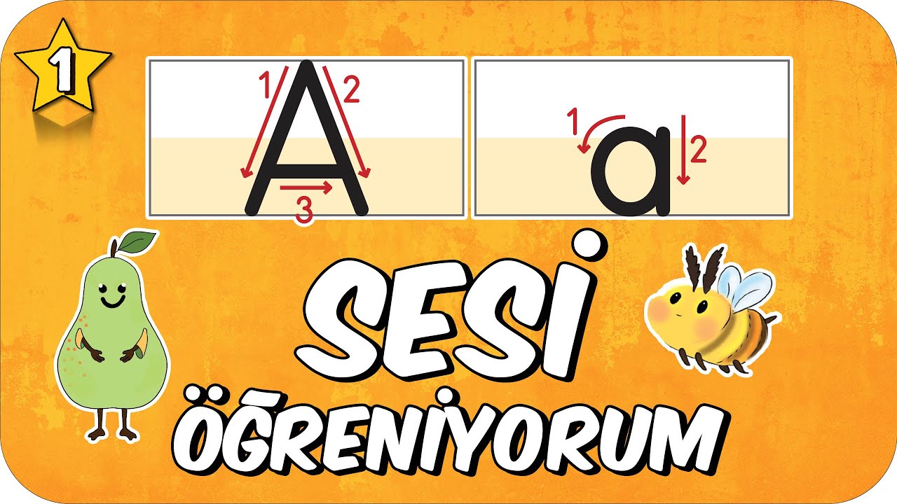 A Sesi &Ouml;ğretimi 🐝 Okunuşu ve Yazılışı 🐙 1.Sınıf #2025