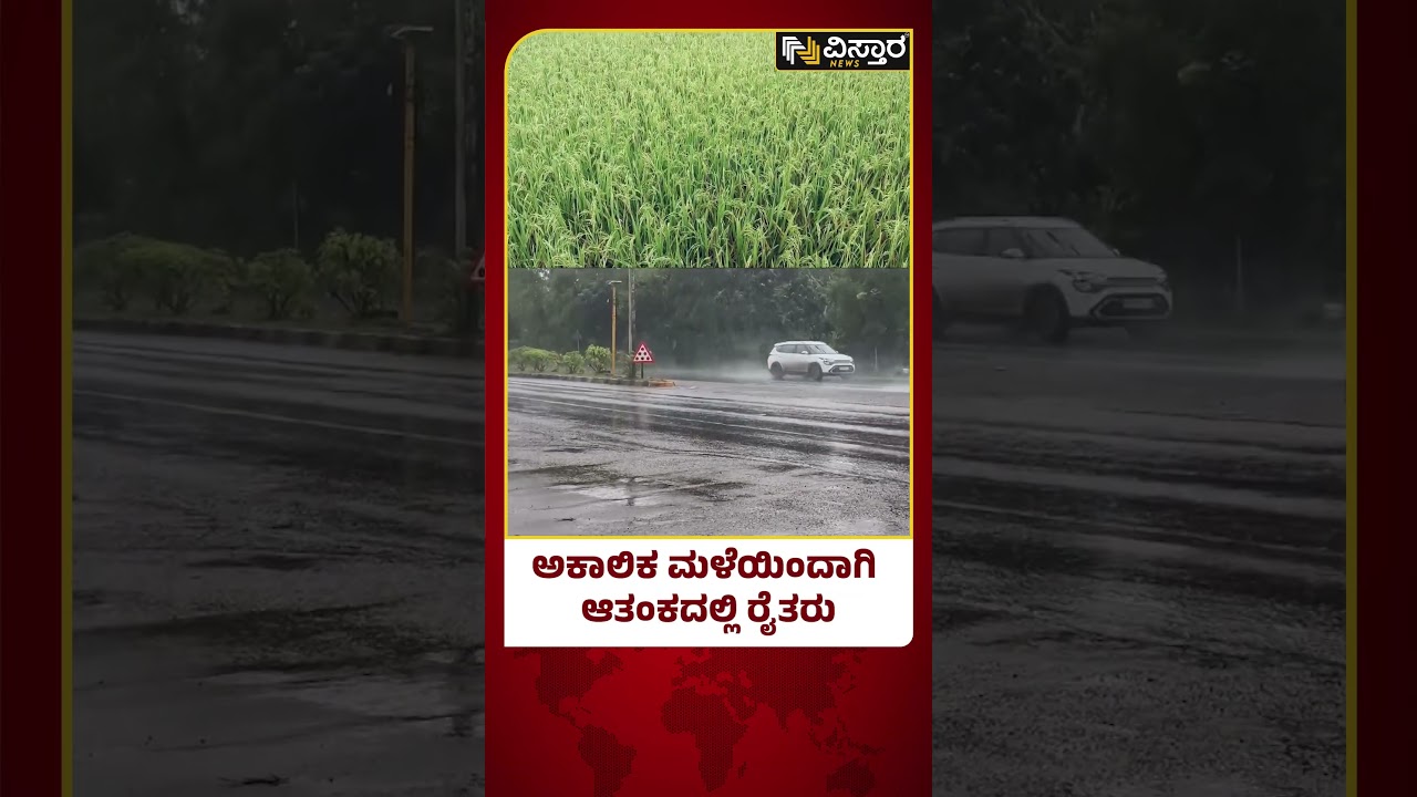 Heavy Rain in Karwar | Rain Fall in Karwar | ಅಕಾಲಿಕ ಮಳೆಯಿಂದಾಗಿ ಆತಂಕದಲ್ಲಿ ರೈತರು | Vistara News