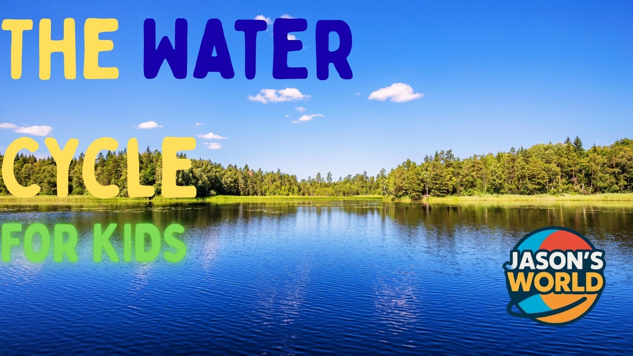 The Water Cycle EXPLAINED | Animated Science For Kids