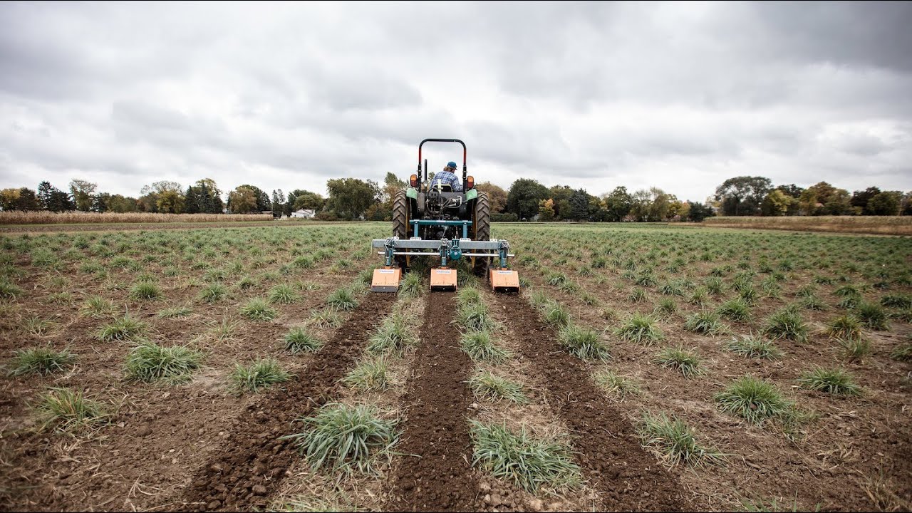 Walton Family Voices: Where Opportunity Takes Root