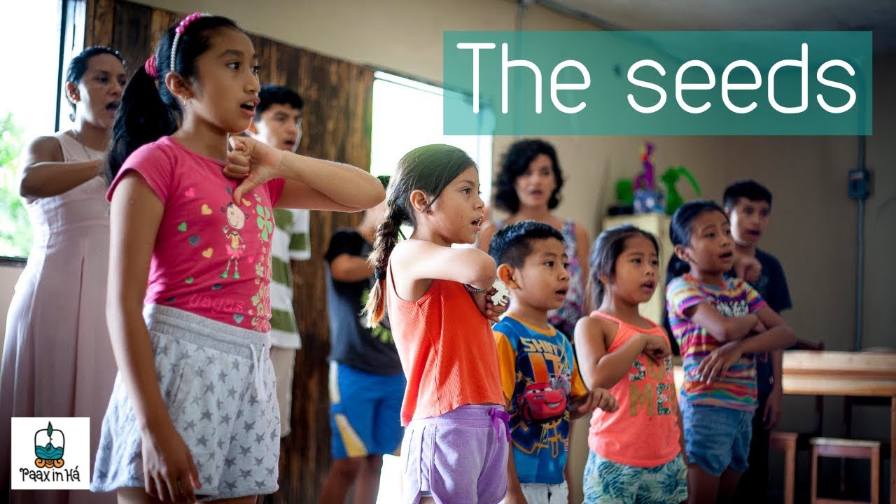 The voice and aspirations of Mayan communities | Paax in Há