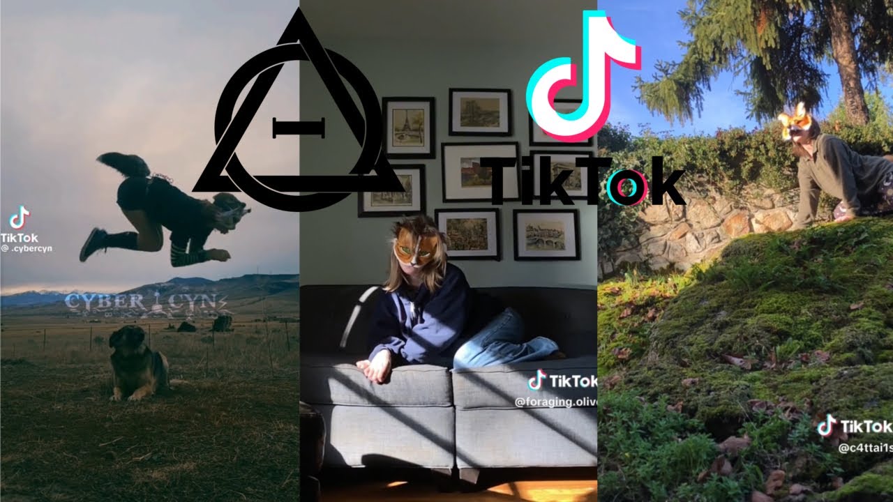 Therian and Quadrobics TikToks || Compilation 🐾🪱🪲|| Alterhumans of TikTok #74