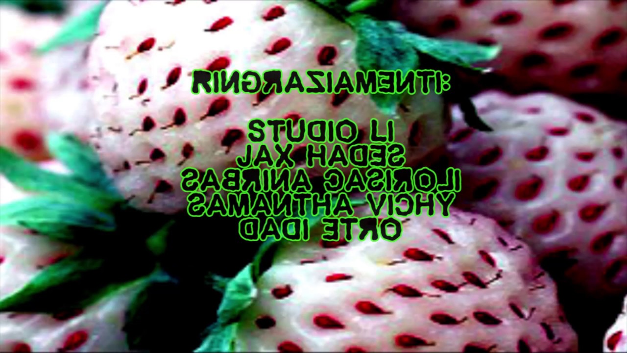 Dadi Etro - Rettiliani  vs La Cena dei Casi Umani(Official Video)